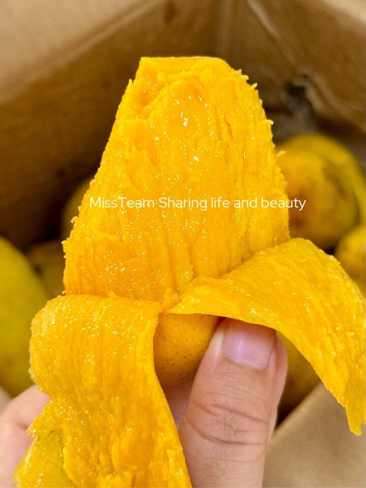 根本拒绝不了小台芒🤤