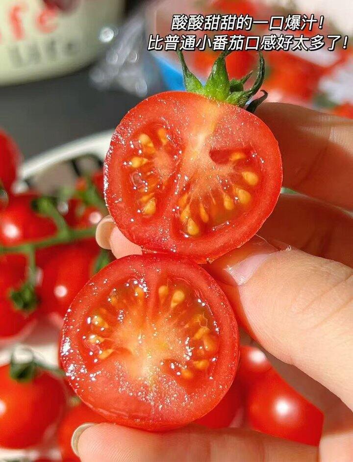 一颗大樱桃番茄串！💰19.9