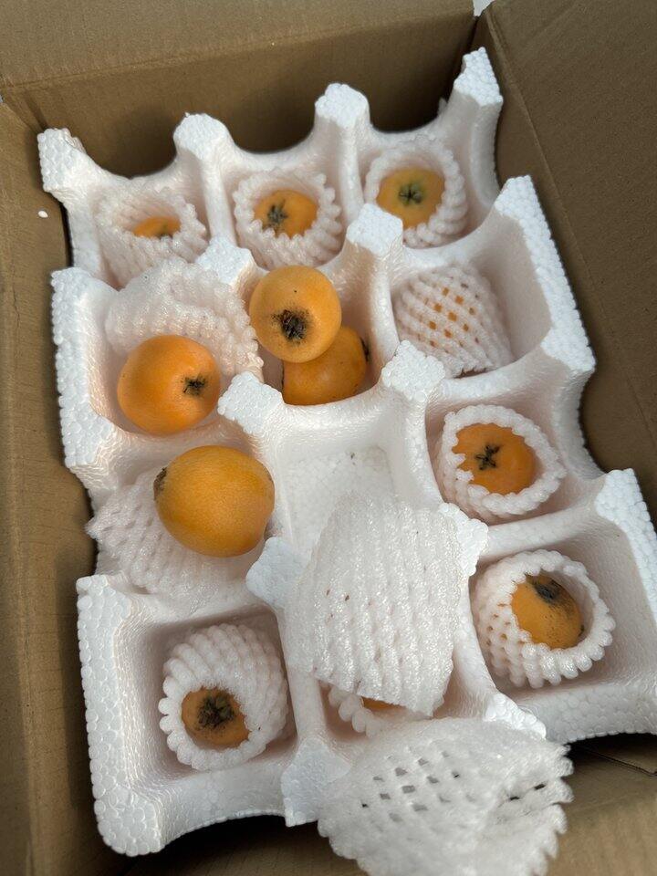 五星枇杷