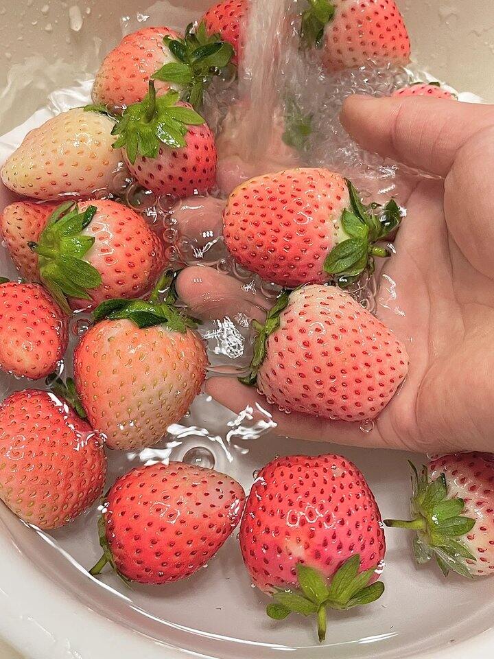 【丹东粉玉草】限量限时抢购：59元/箱