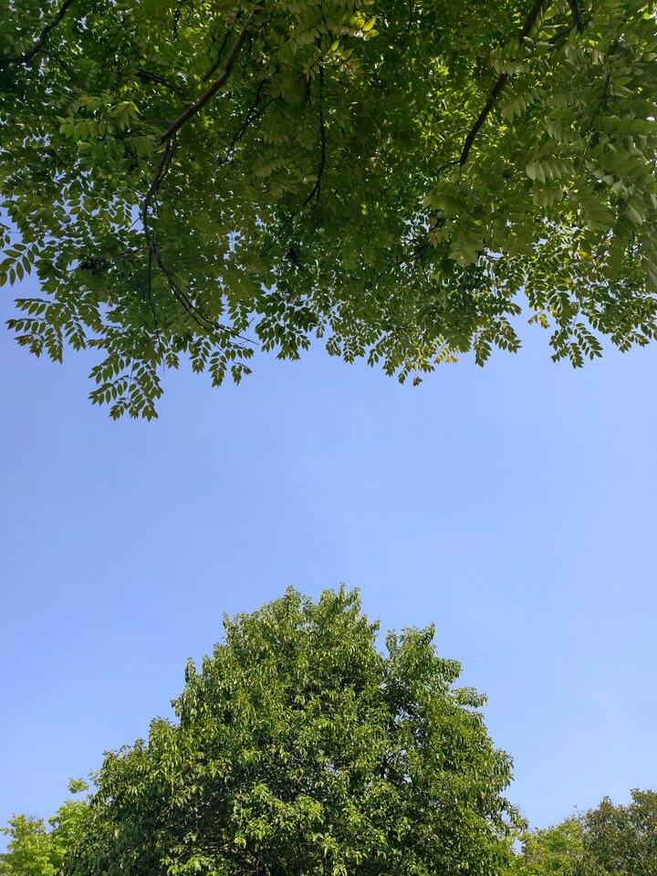 碎碎念–劳动节
