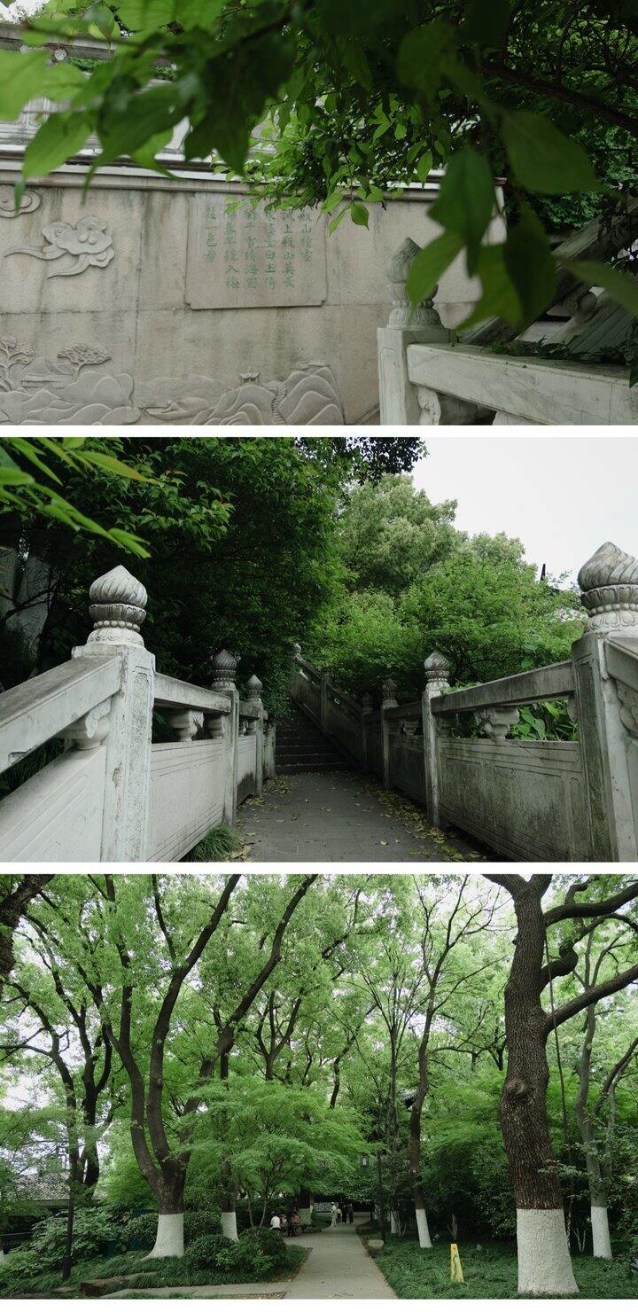 小小的瓶山公园，值得一个满屏