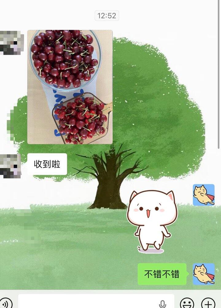先锋樱桃🍒
