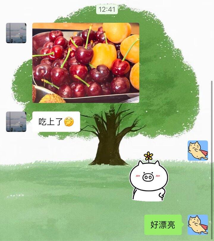 樱桃酸甜
