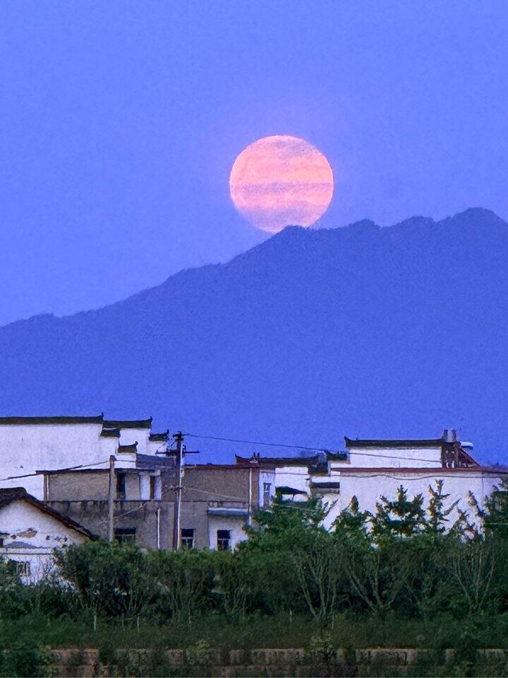 假期记录