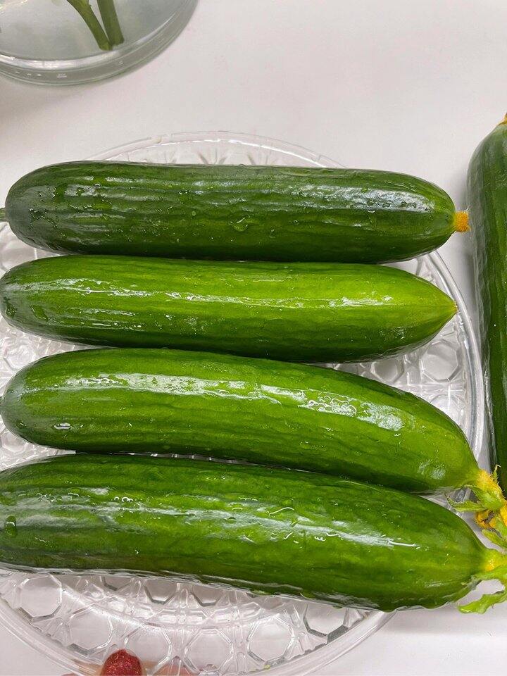 京鲜生 山东荷兰水果黄瓜🥒