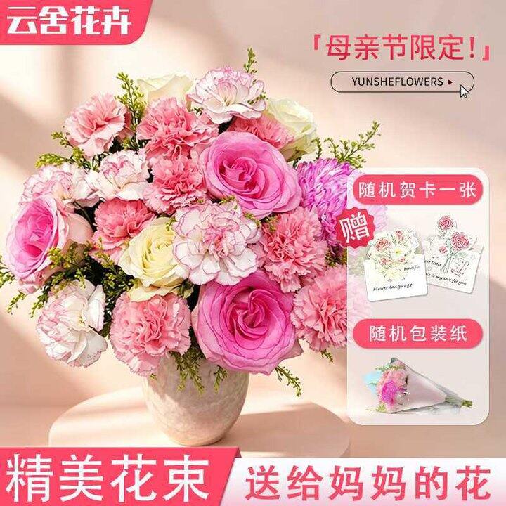 云舍花卉 母亲节康乃馨花束混搭23枝💰23