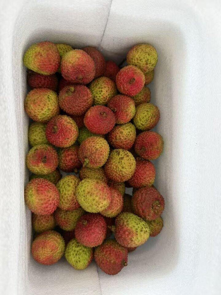 荔枝已经在安排发货中