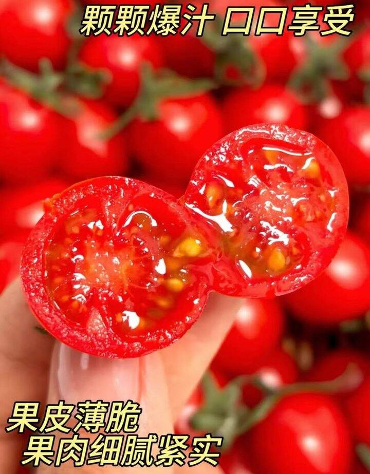 🍅一颗大樱桃番茄红黄组合🈴7.5/杯