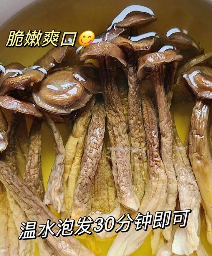 自营 鹿茸菇