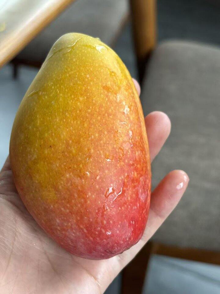 贵妃芒买买买