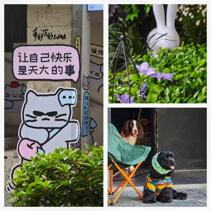 ［随手拍］5月初的外勤太好了