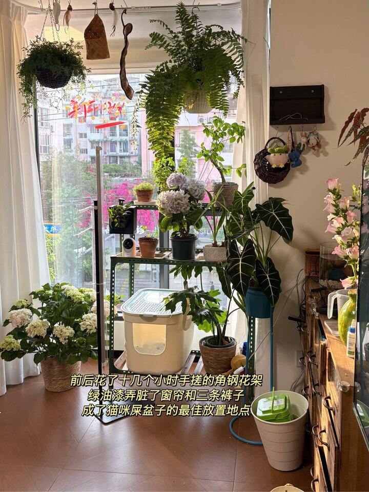 跟着 小红书做的角钢花架