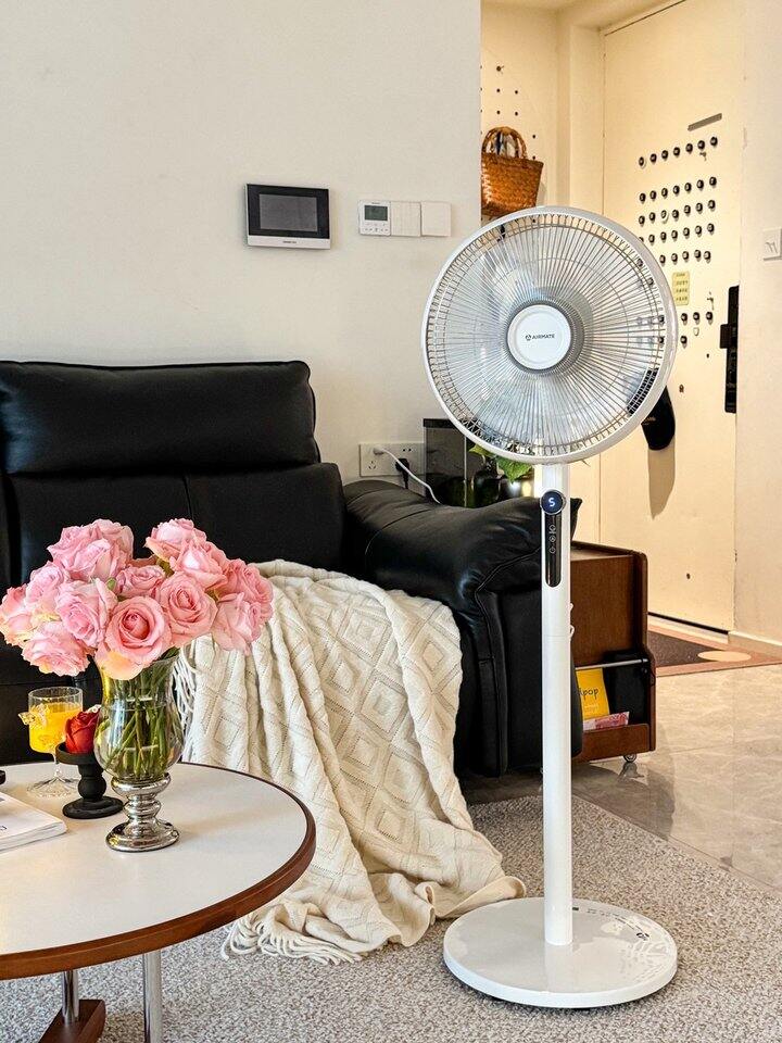夏日居家氛围感神器：西屋轻奢、艾美特实用~