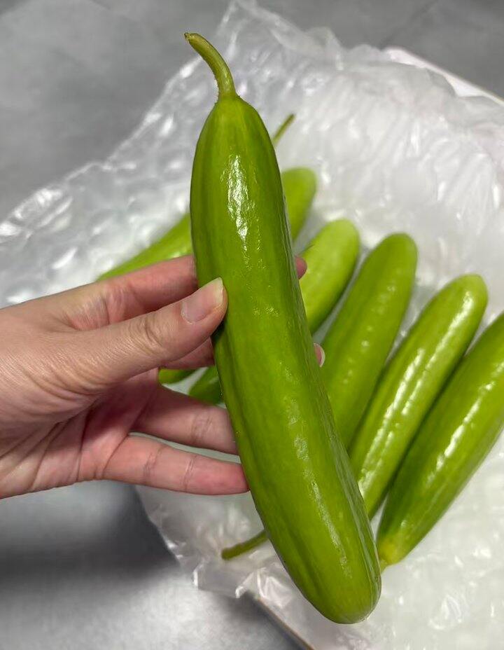 为我的减肥大业加砖添瓦~