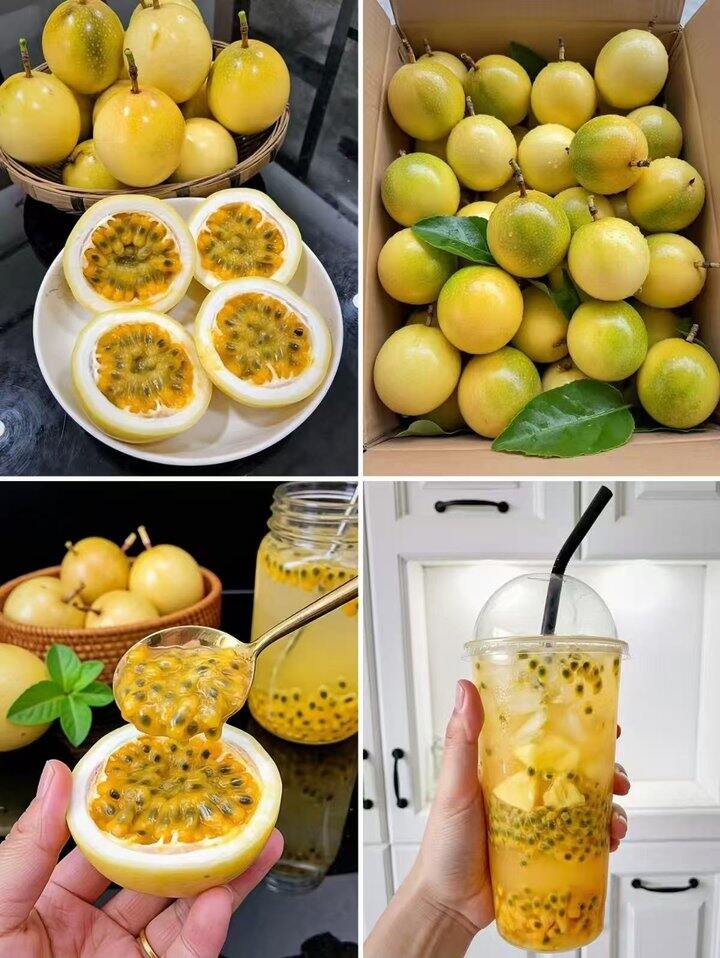 🍎钦密9号黄金百香果