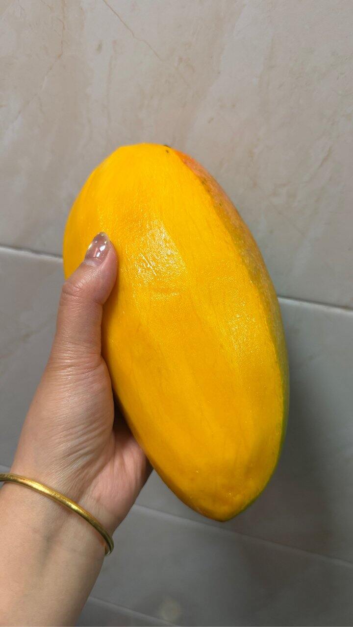 玖原农珍 海南金煌芒果🥭