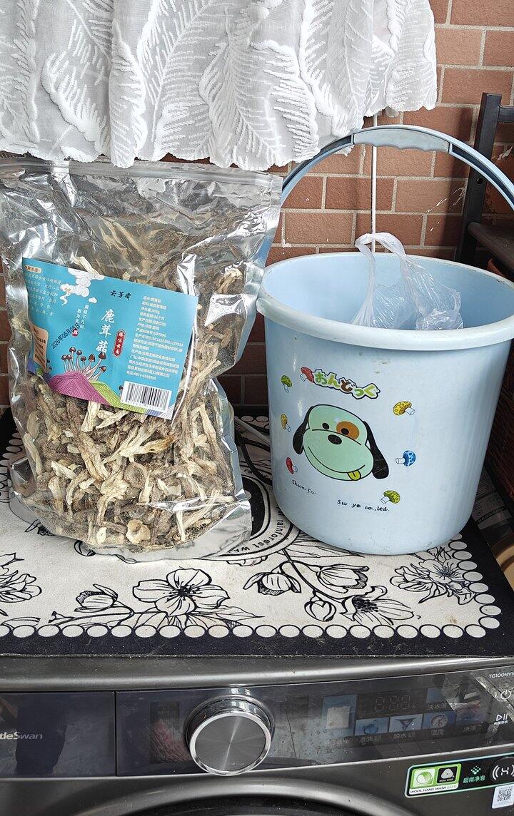 自营 鹿茸菇
