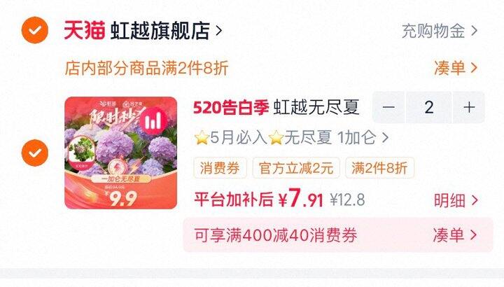 绣球无尽夏一加仑