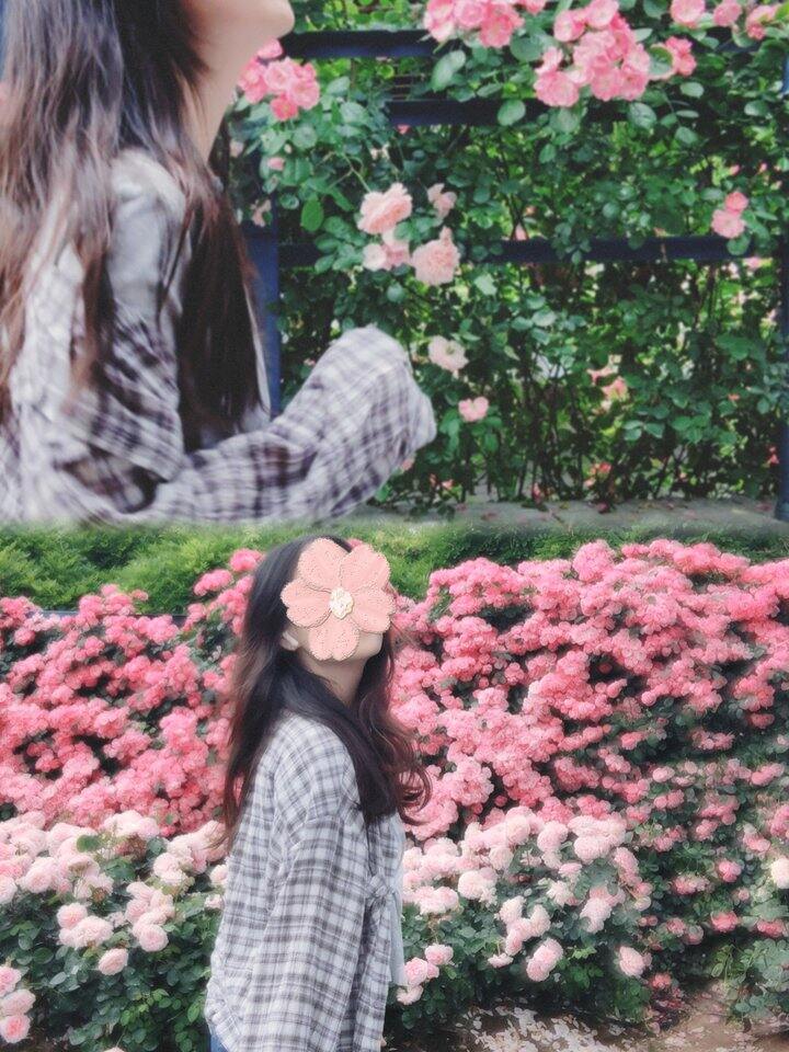 夏天，格子衬衣，花海