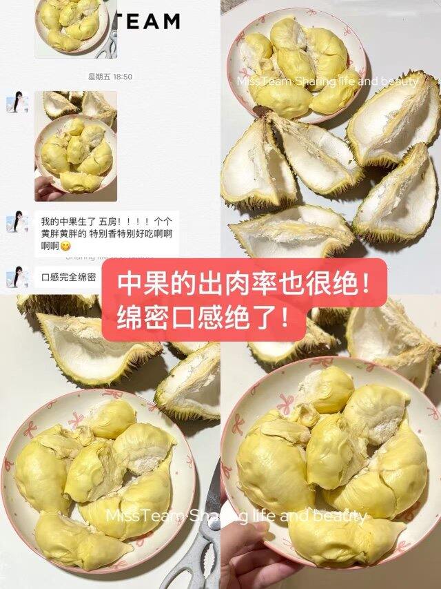 榴莲就如此权威！💰20+