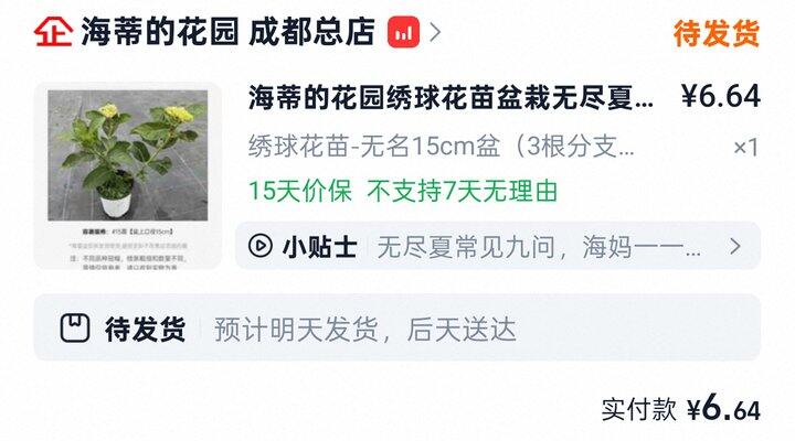 海蒂的花园 绣球盲盒9.9