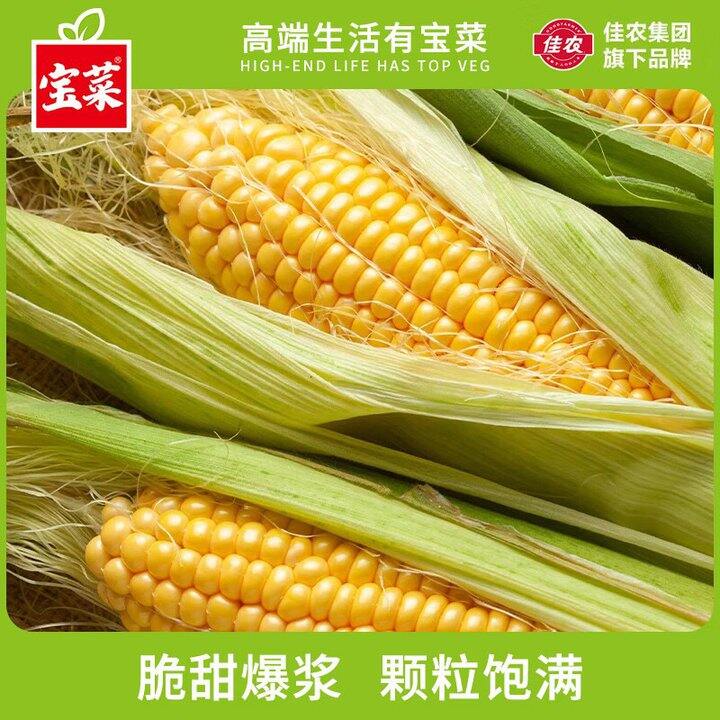宝菜 新鲜黄甜玉米5斤💰15.9