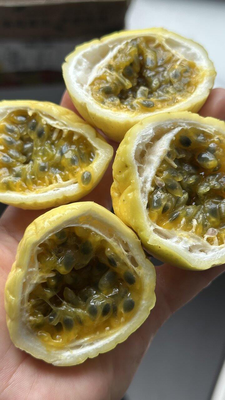反馈
