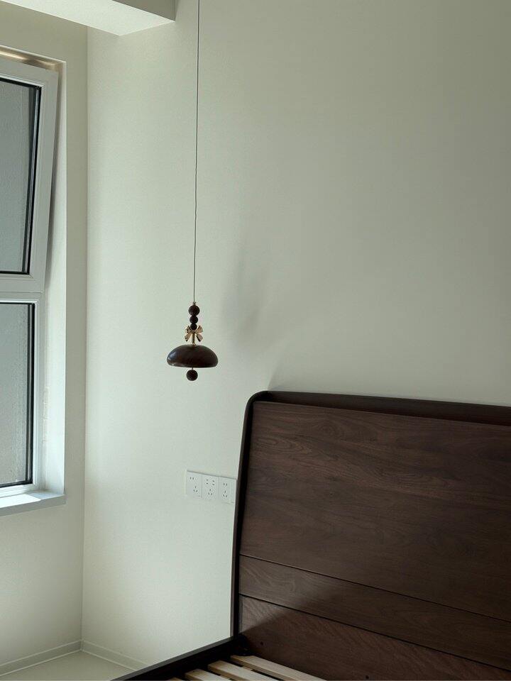 我全屋那美丽的灯具