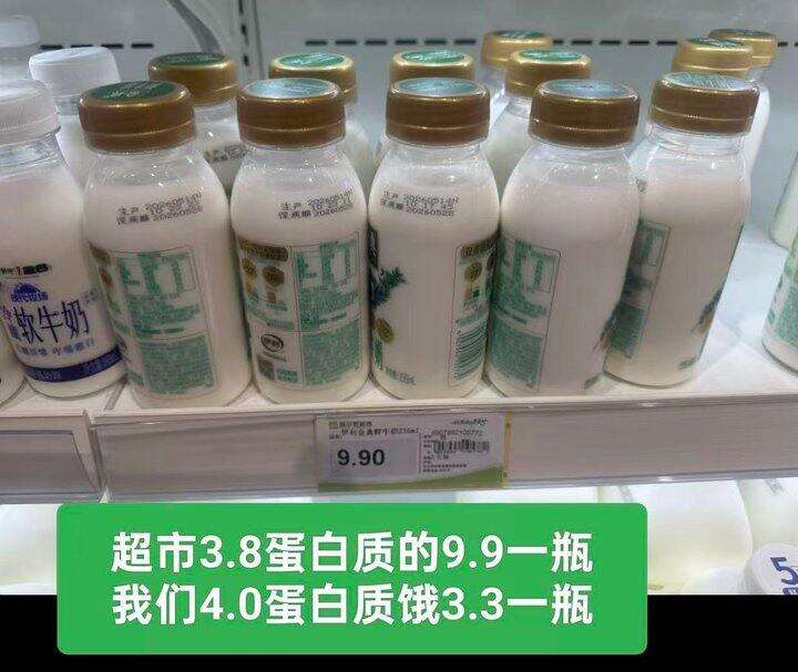 自营伊利 金典4.0g鲜牛奶