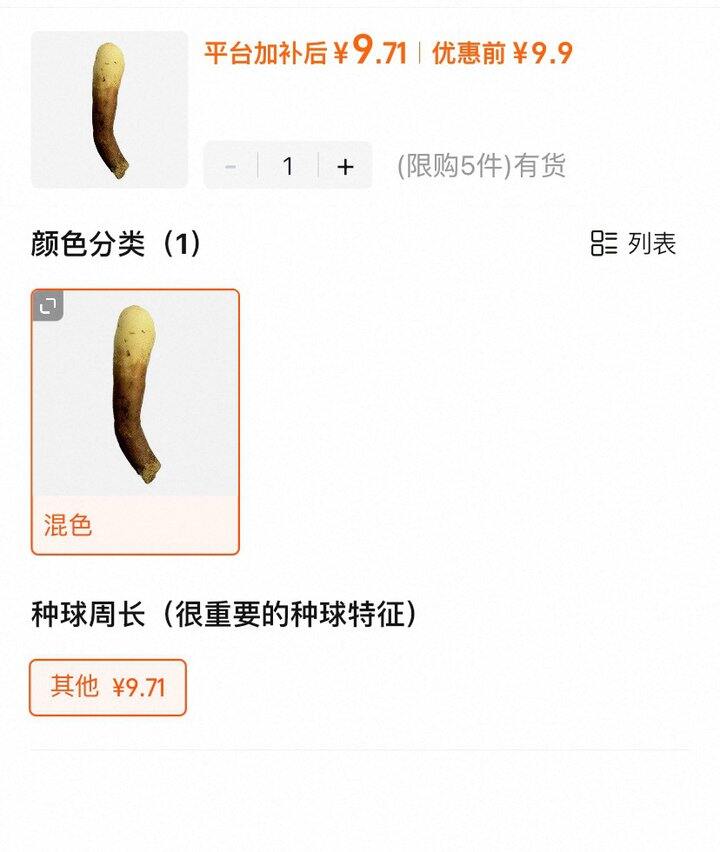 9.9的嘉兰百合