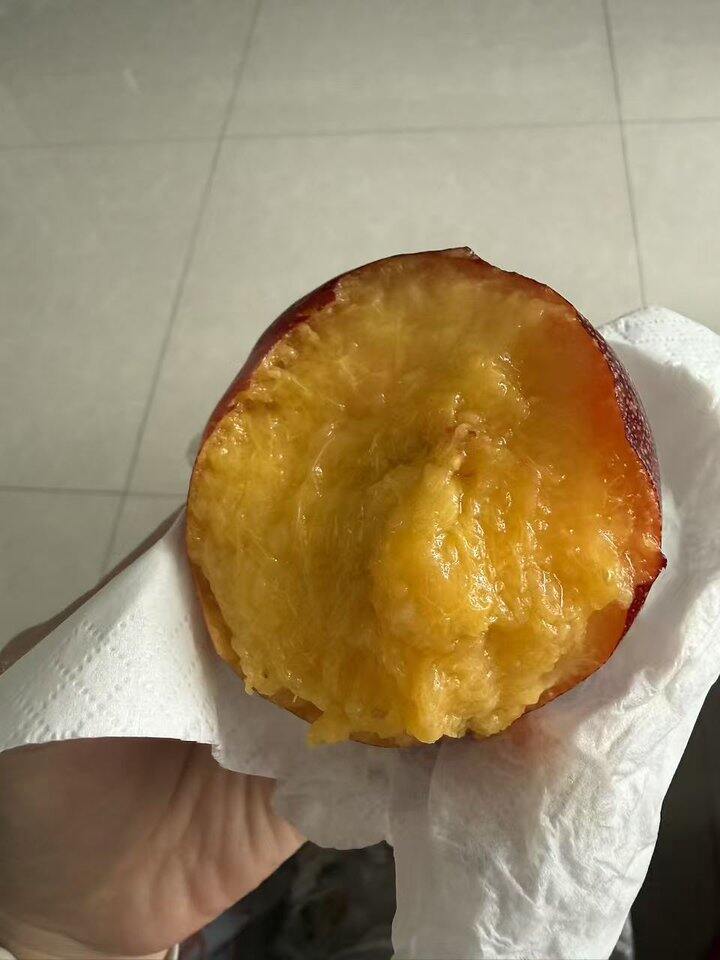 桃子的季节就是开心