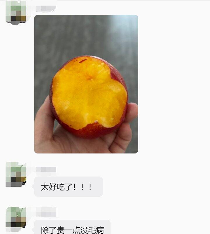 黄油桃反馈