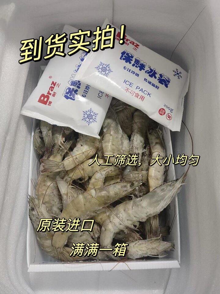 厄瓜多尔白虾🦐两个规格