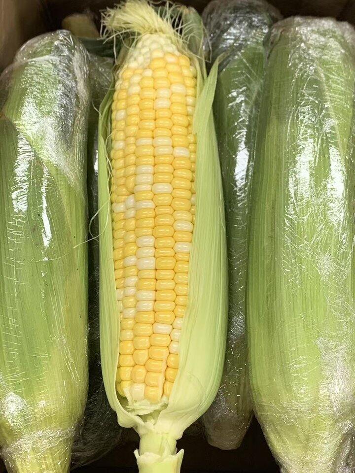 京鲜生 水果玉米🌽