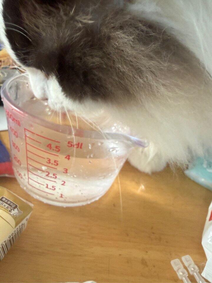 加了漱口水的水崽还挺爱喝的