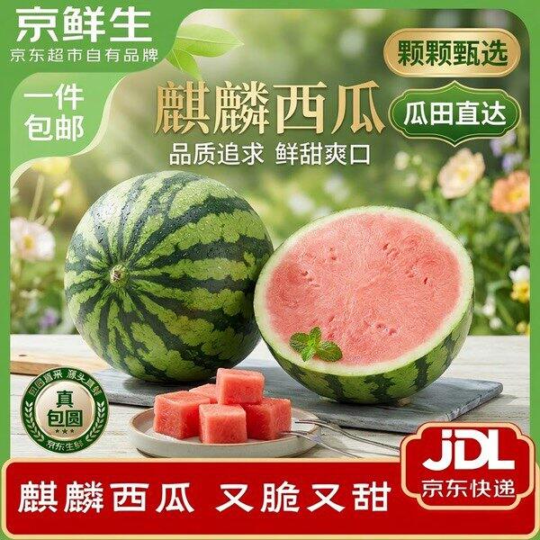 降～自营麒麟西瓜5-6斤，14.8🍉
