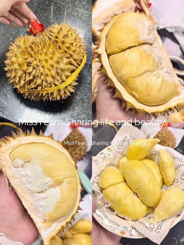 榴莲就如此权威！💰20+