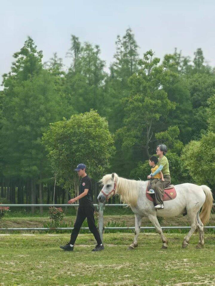 也算体验了去有风的地方同款
