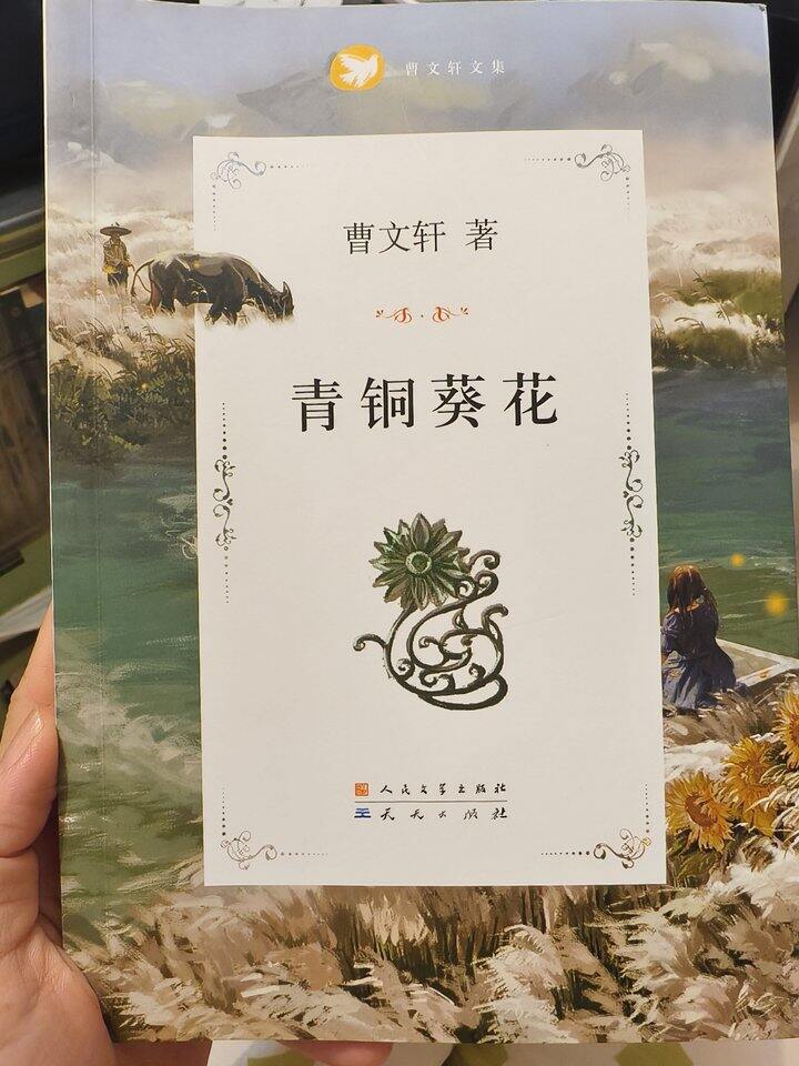《青铜葵花》