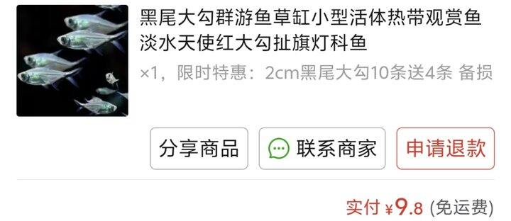 PDD买什么