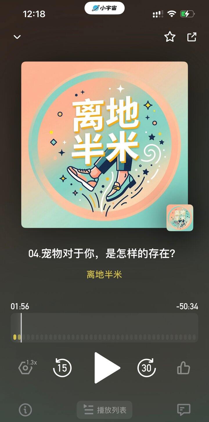 倾家荡产花17万救一只猫🐱疯了吗？