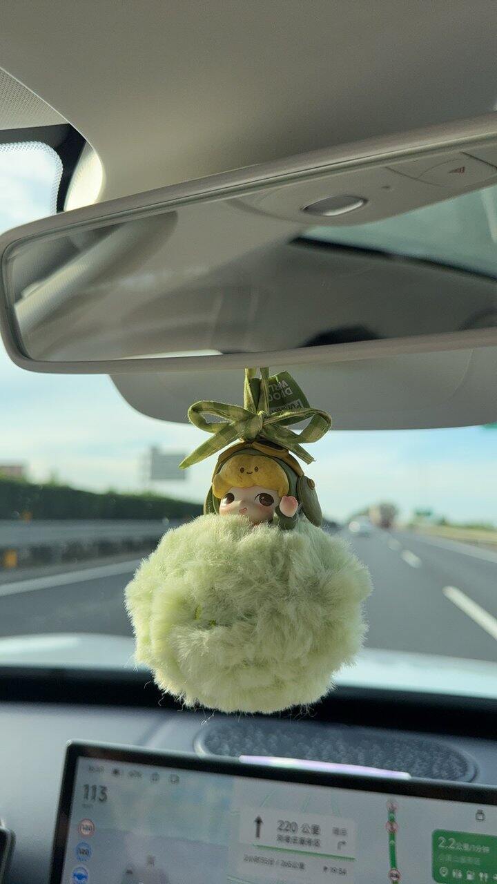 分享我的车载娃娃们～