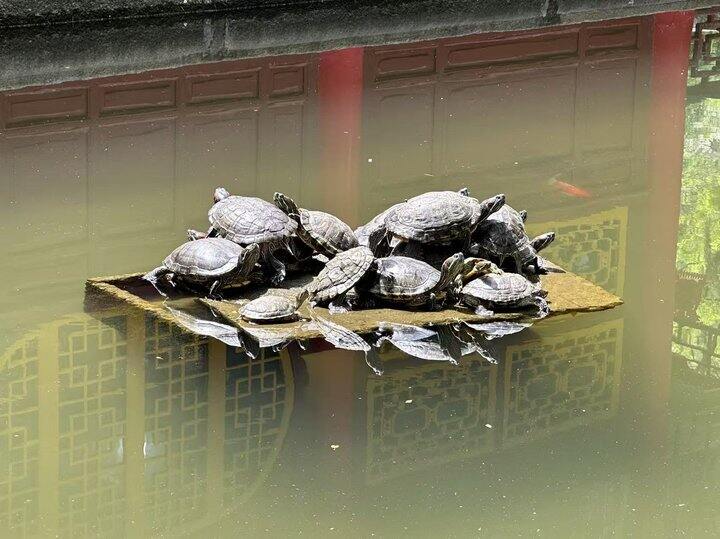 今日份幸福