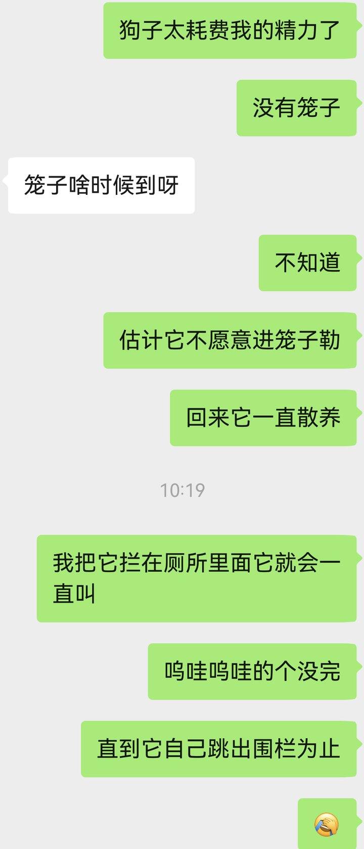 最近的养修狗进展（文字版）