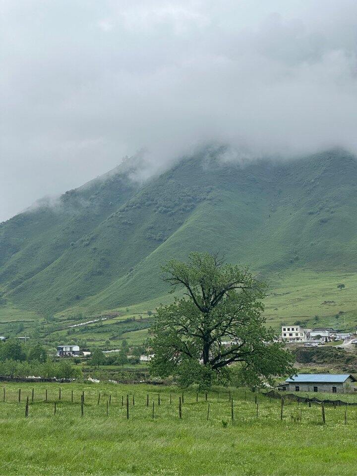 工作极限二选一