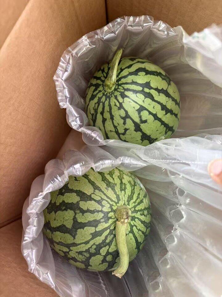 手剥小西瓜