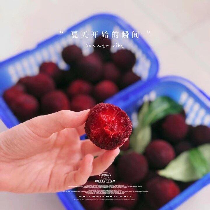 给大家剧透下