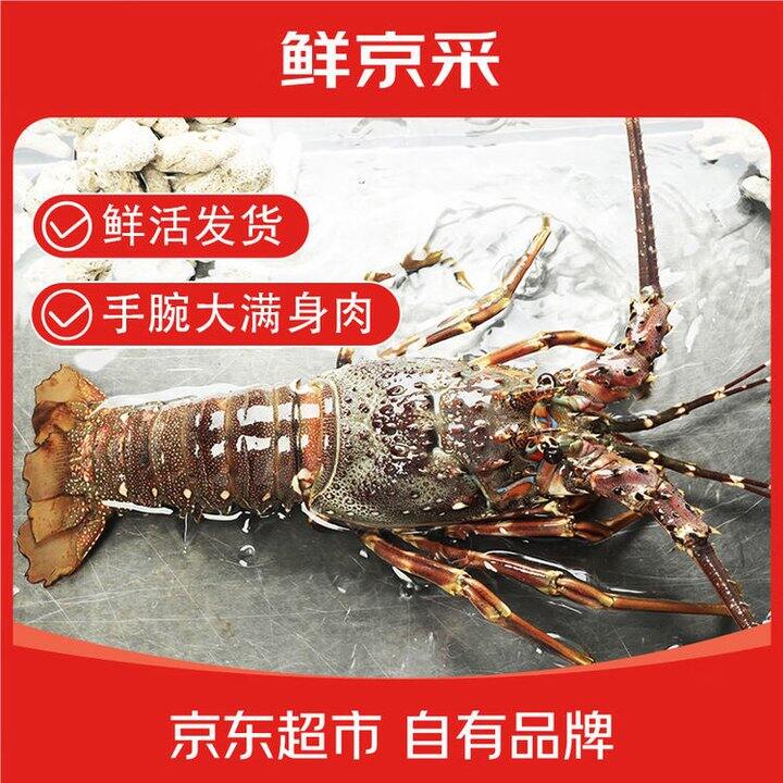 鲜京采 鲜活越南小青龙