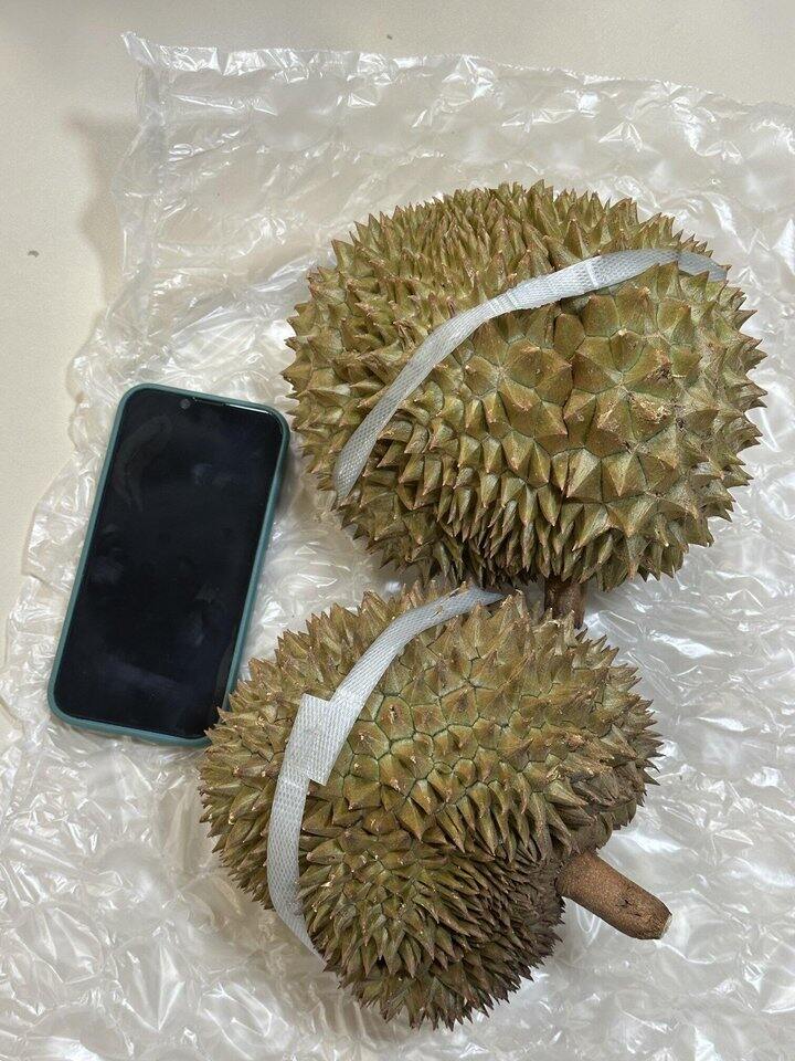 巴掌榴莲